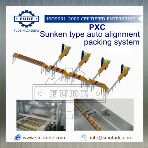 PFC Sunken type auto alignment packing system